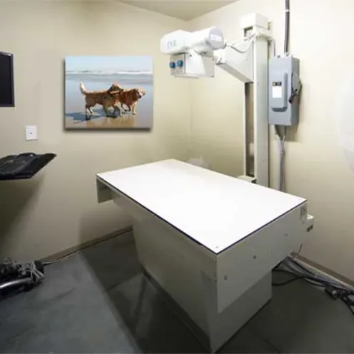 Piper Creek Veterinary Clinic Radiology